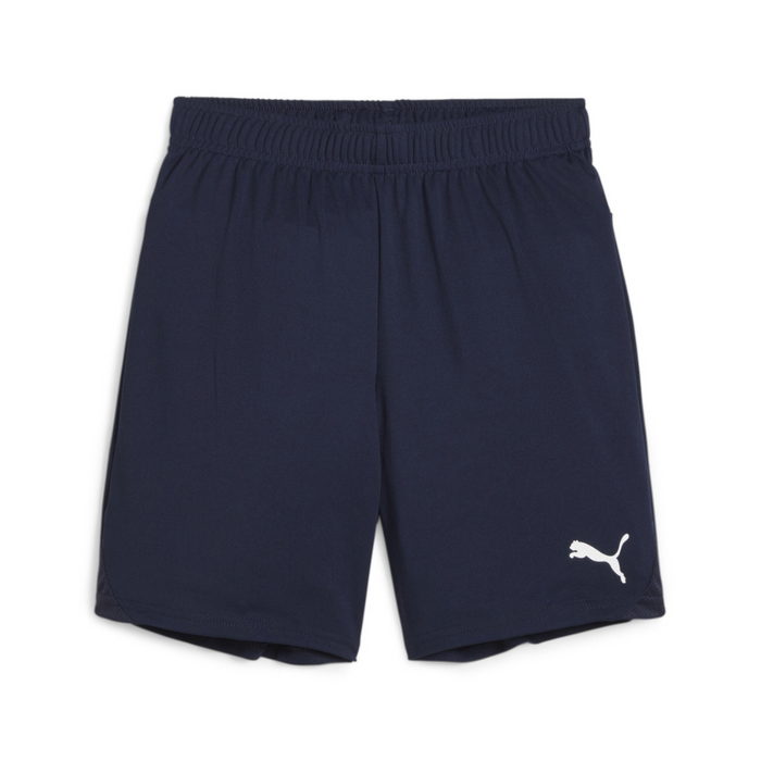 Puma Team Goal Shorts in purple