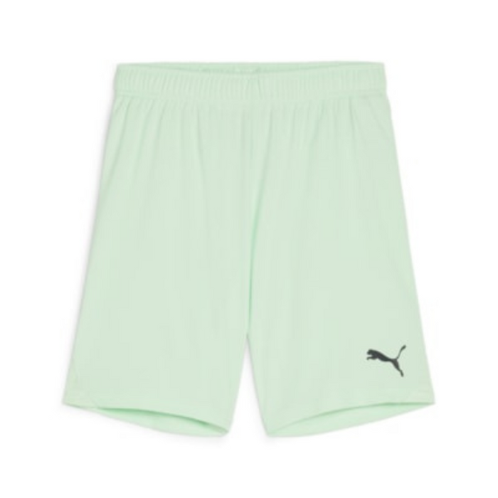 Puma Team Goal Shorts in light green